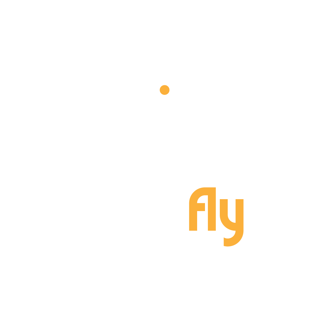 Oddifly-Final-Logo